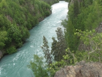 The Kenai River